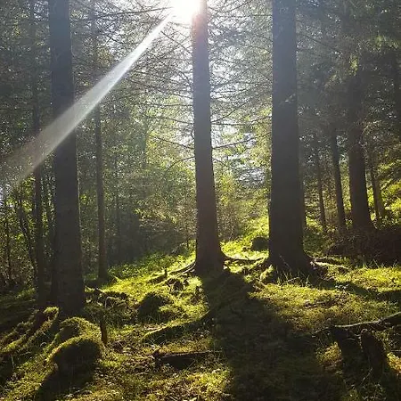Gammelstua Pa Storsaeter Gard Nyaraló *