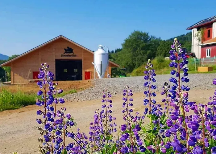 Gammelstua Pa Storsaeter Gard Tatil Evi *