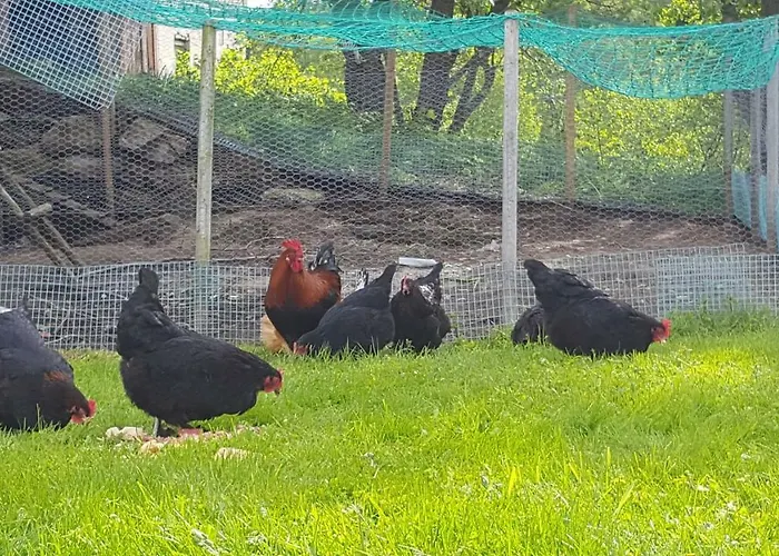 Tatil Evi Gammelstua Pa Storsaeter Gard Engeloya