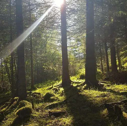 Gammelstua Pa Storsaeter Gard Tatil Evi *