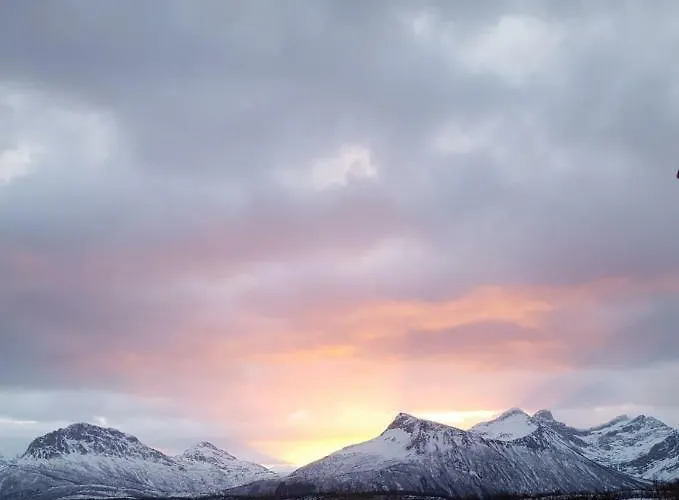 Tatil Evi Gammelstua Pa Storsaeter Gard