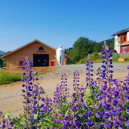 Gammelstua Pa Storsaeter Gard Hébergement de vacances *